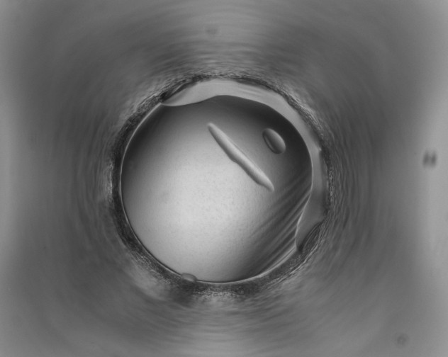 X0000090900685200708131353
