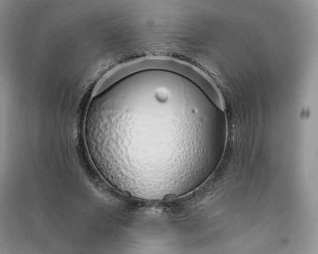 X0000090900687200708131352