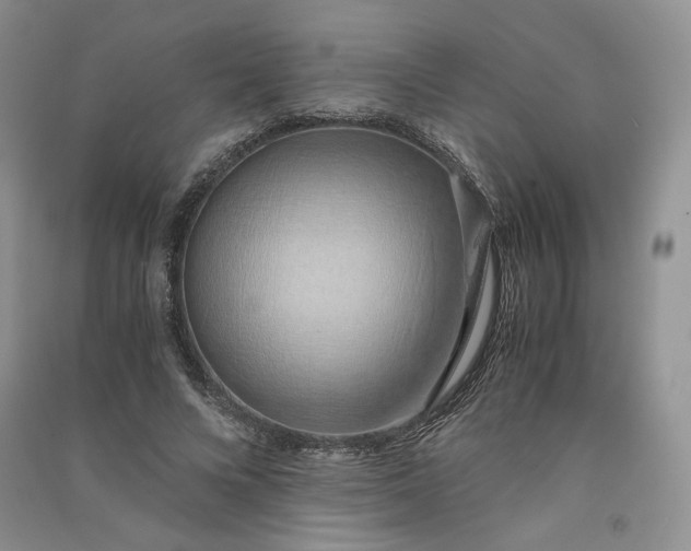 X0000090900688200708131352