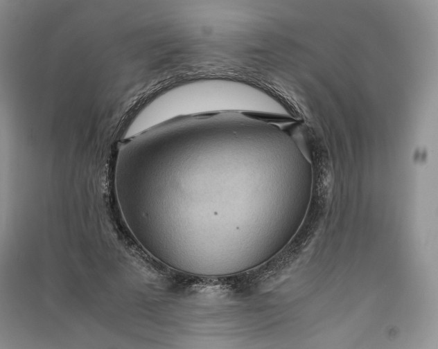 X0000090900689200708131352