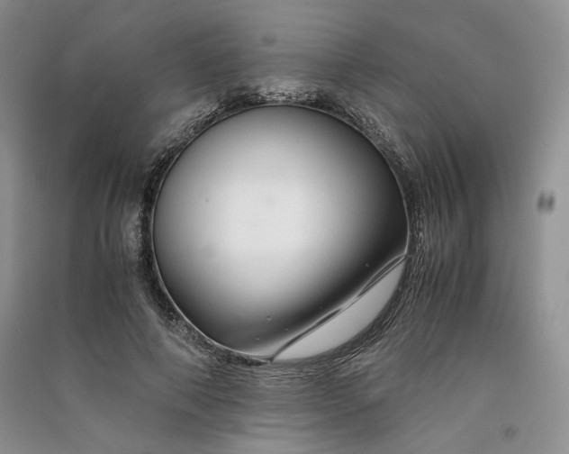 X0000090900690200708131352
