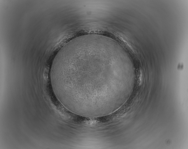 X0000090900695200708131352