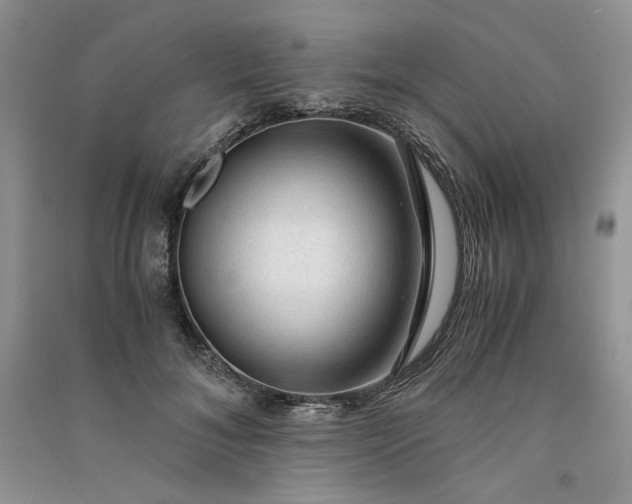 X0000090900700200708131352