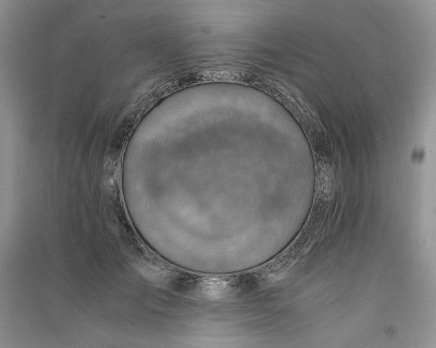 X0000090900701200708131352