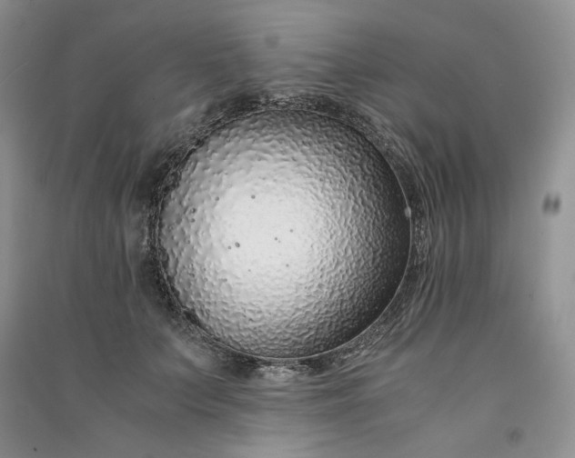 X0000090900703200708131352