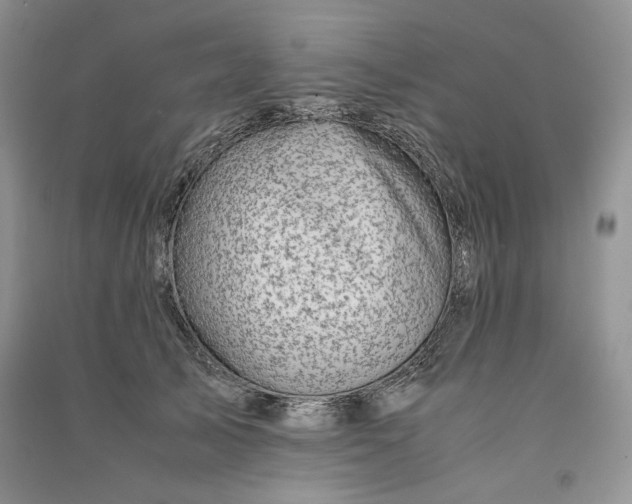 X0000090900705200708131352