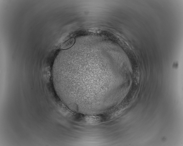 X0000090900707200708131352