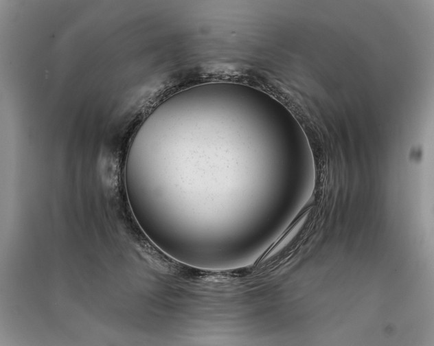 X0000090900708200708131352