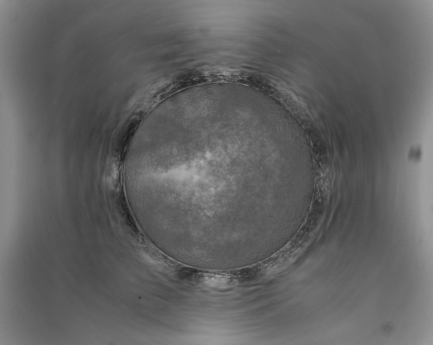 X0000090900709200708131352