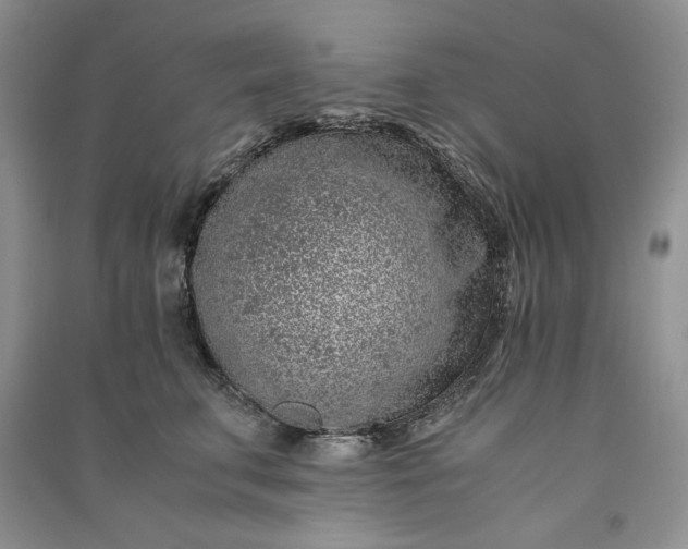 X0000090900711200708131352
