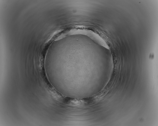 X0000090900712200708131352