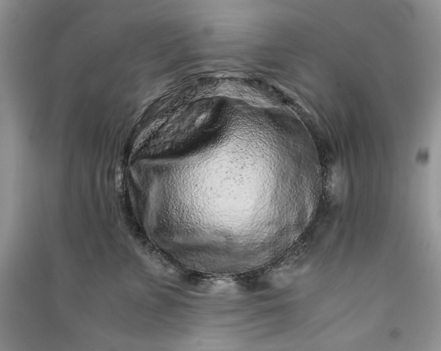 X0000090900715200708131352