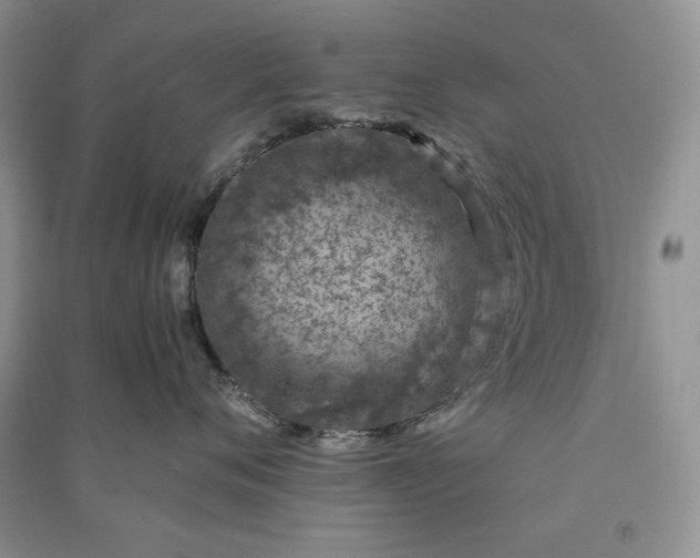 X0000090900720200708131352