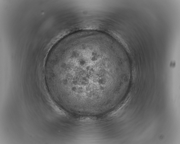 X0000090900721200708131351