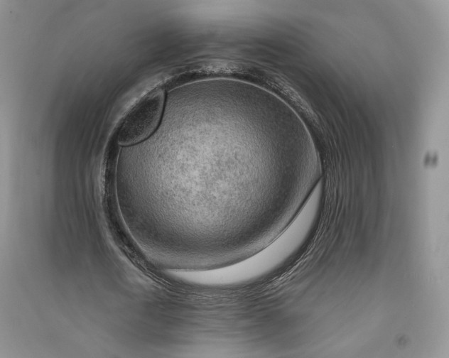 X0000090900722200708131352