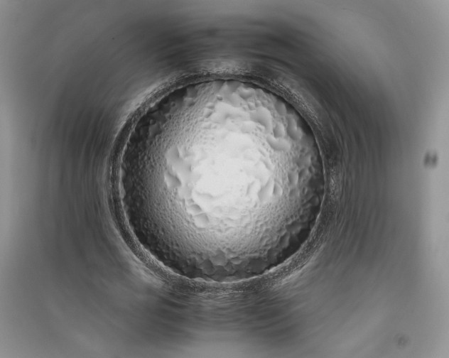 X0000090900725200708131352