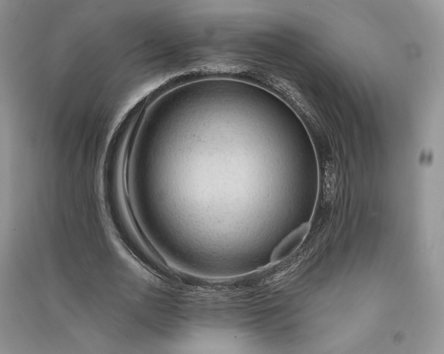 X0000090900726200708131352