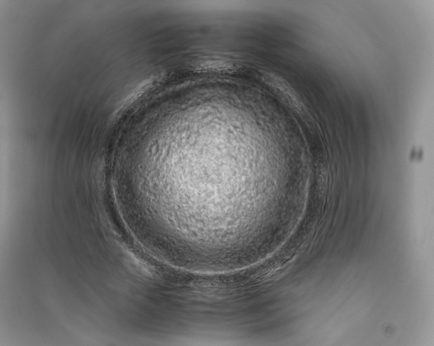 X0000090900729200708131352