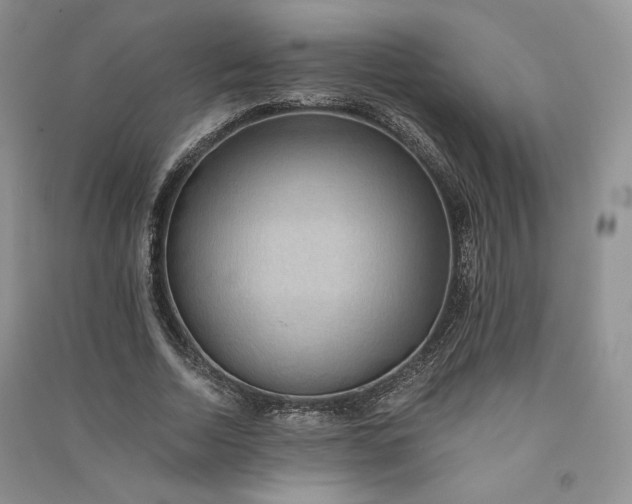 X0000090900730200708131352