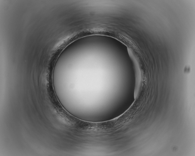 X0000090900732200708131352