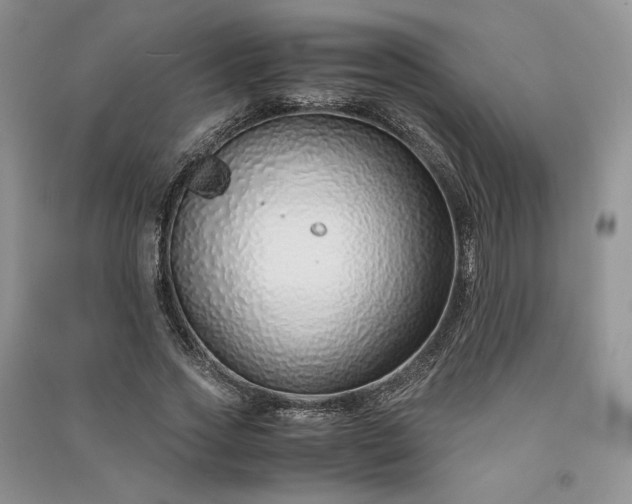 X0000090900733200708131352