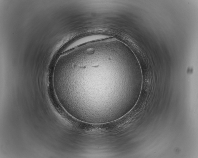 X0000090900734200708131352