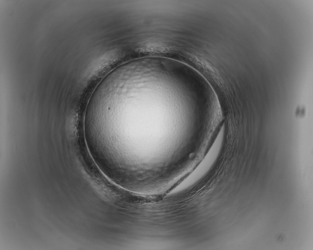 X0000090900735200708131352