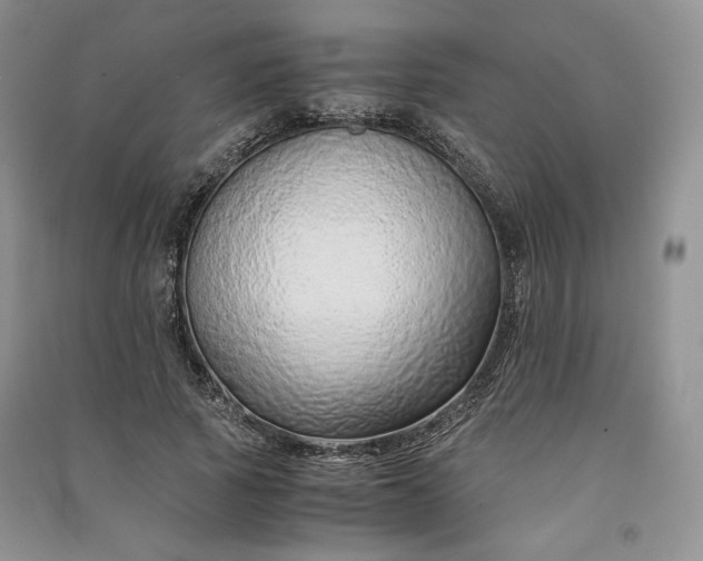 X0000090900737200708131352