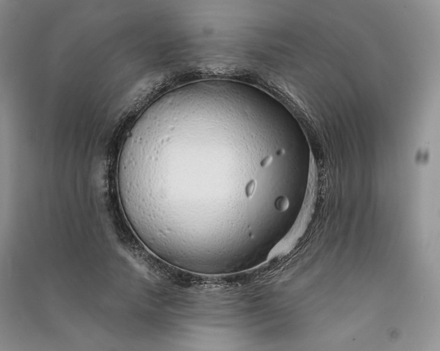 X0000090900738200708131352