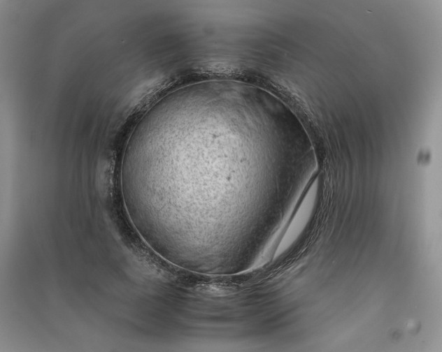 X0000090900739200708131352