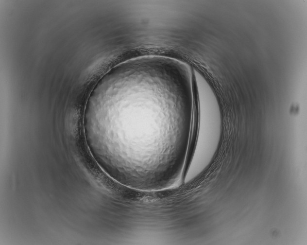 X0000090900742200708131352