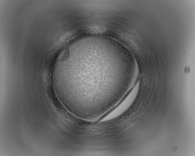 X0000090900743200708131352