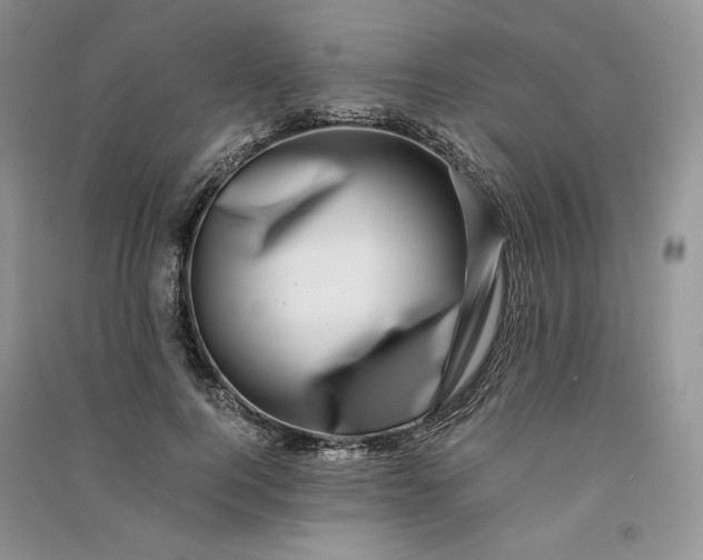 X0000090900744200708131352