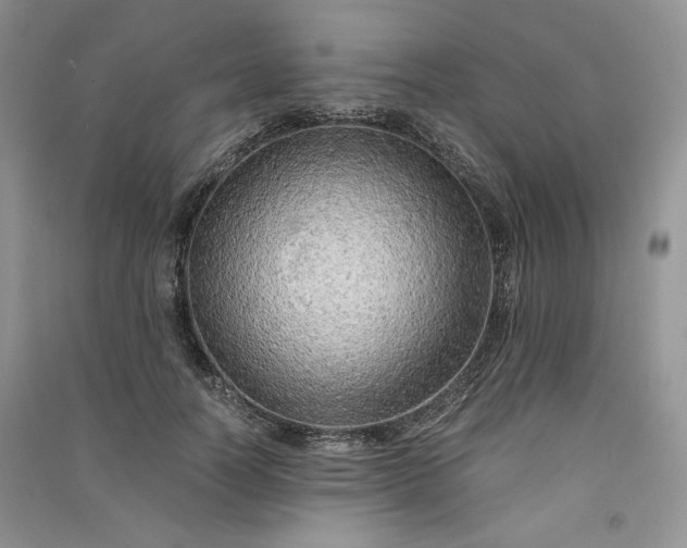 X0000090900746200708131352