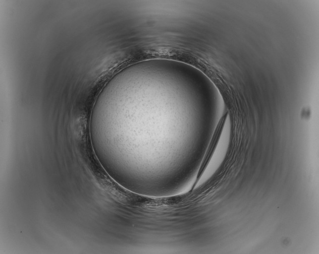 X0000090900747200708131352