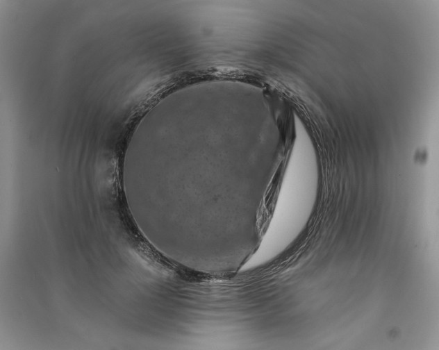X0000090900748200708131352