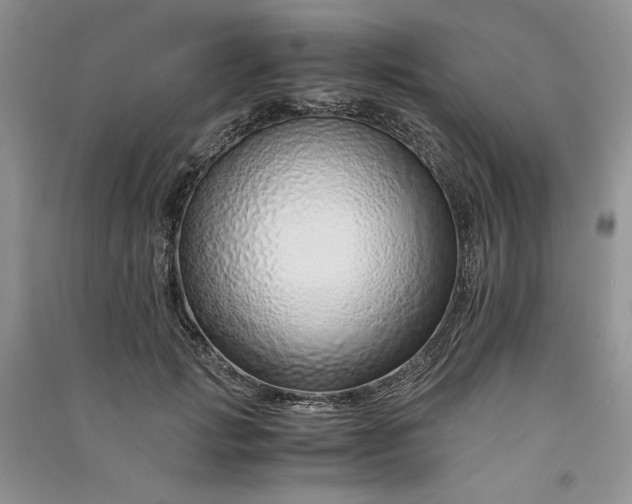 X0000090900749200708131352