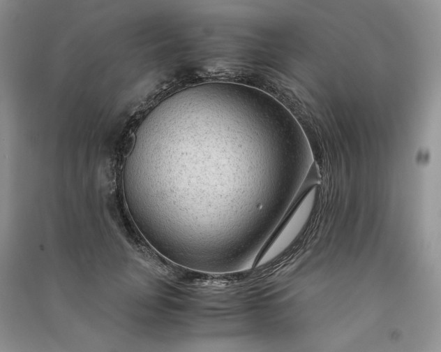 X0000090900751200708131352