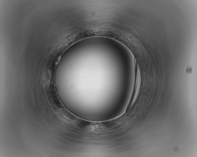 X0000090900752200708131352