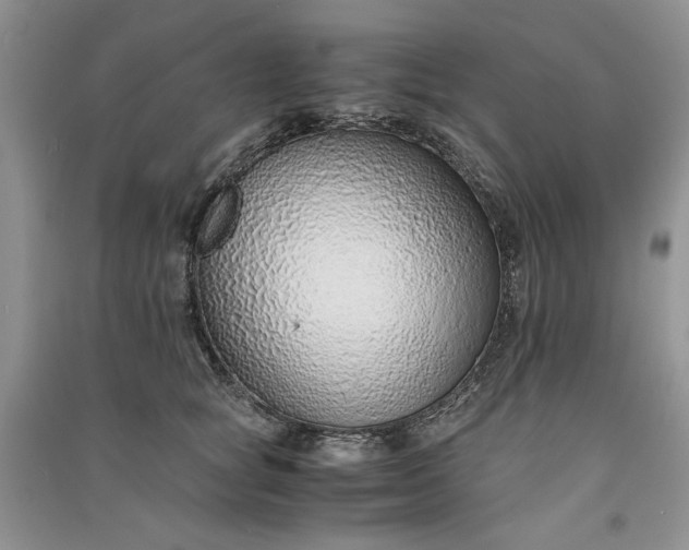 X0000090900757200708131352