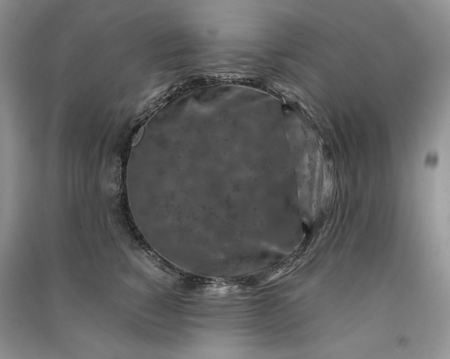X0000090900760200708131352
