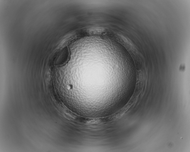 X0000090900761200708131352