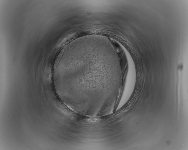 X0000090900762200708131352