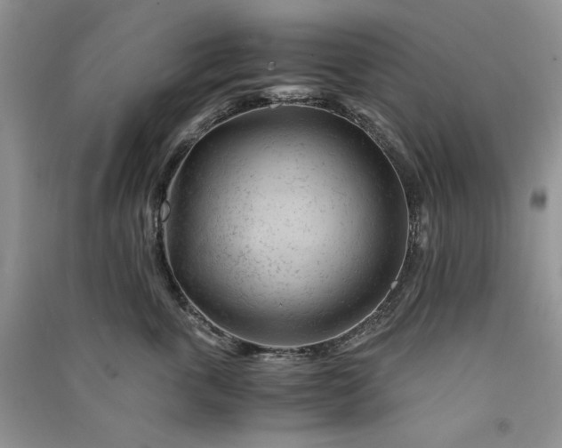 X0000090900763200708131352