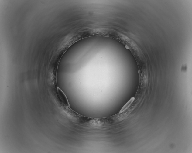 X0000090900764200708131352