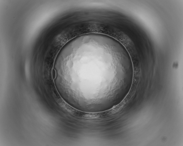 X0000090900765200708131352