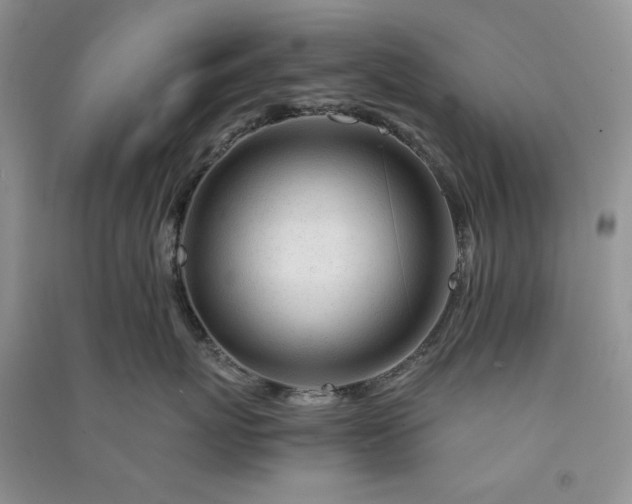 X0000090900767200708131352