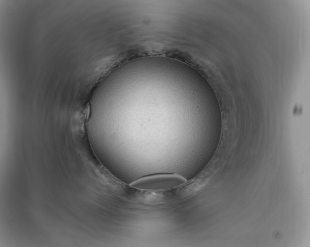 X0000090900768200708131352