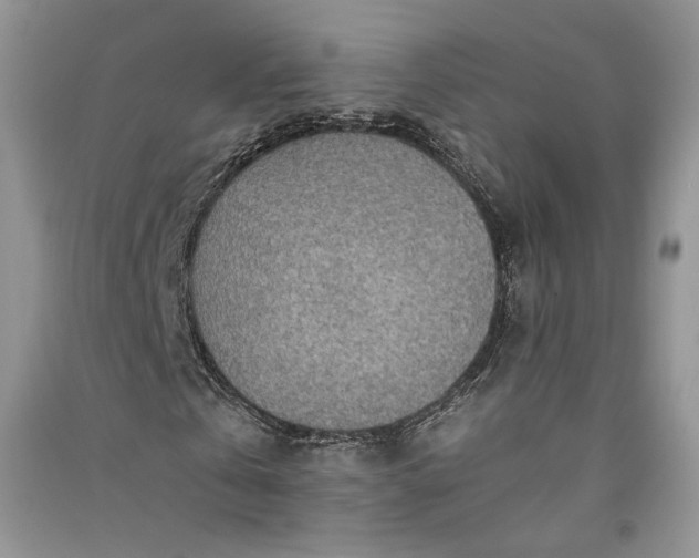 X0000090900769200708131351