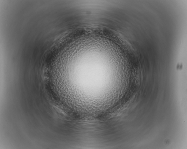 X0000090900770200708131351